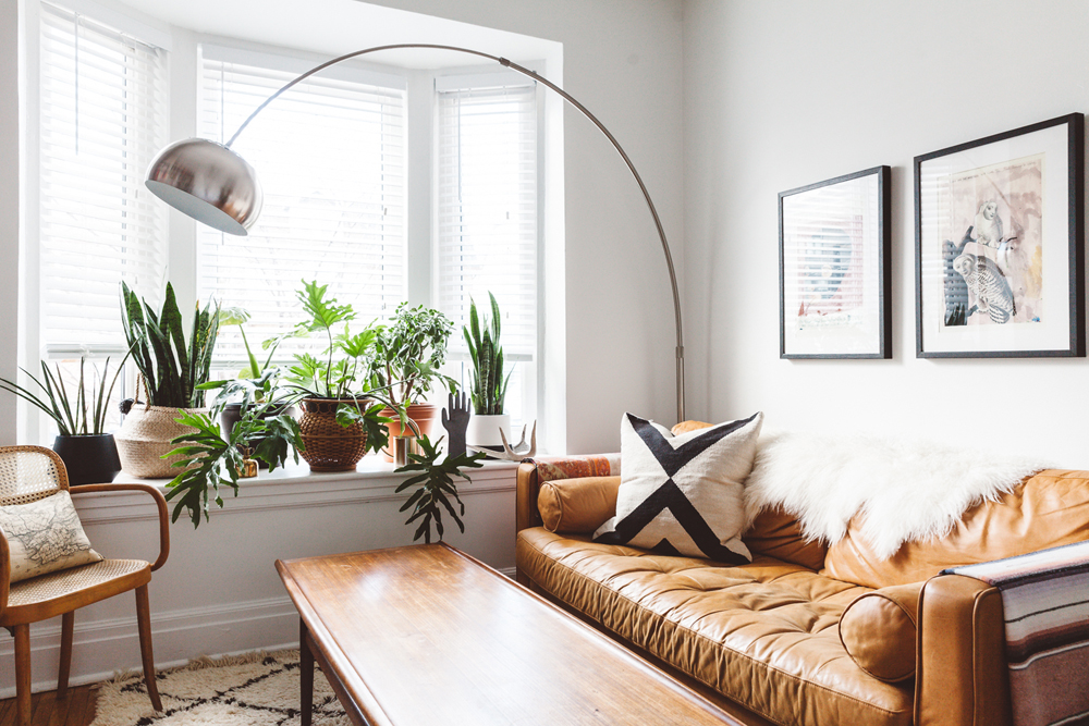 Bright living room with potted plants and large, unique lamp that hangs over the couch