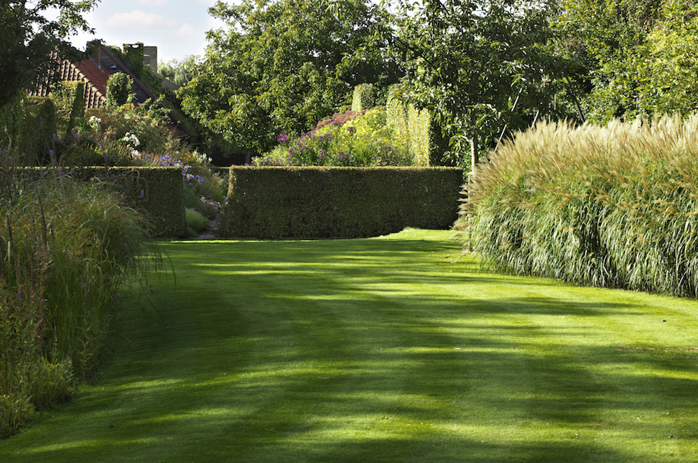 Neatly cut green lawn with borders of grass and hedges