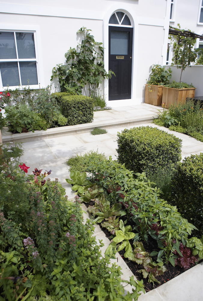 garden with mix of edible and decorative plants