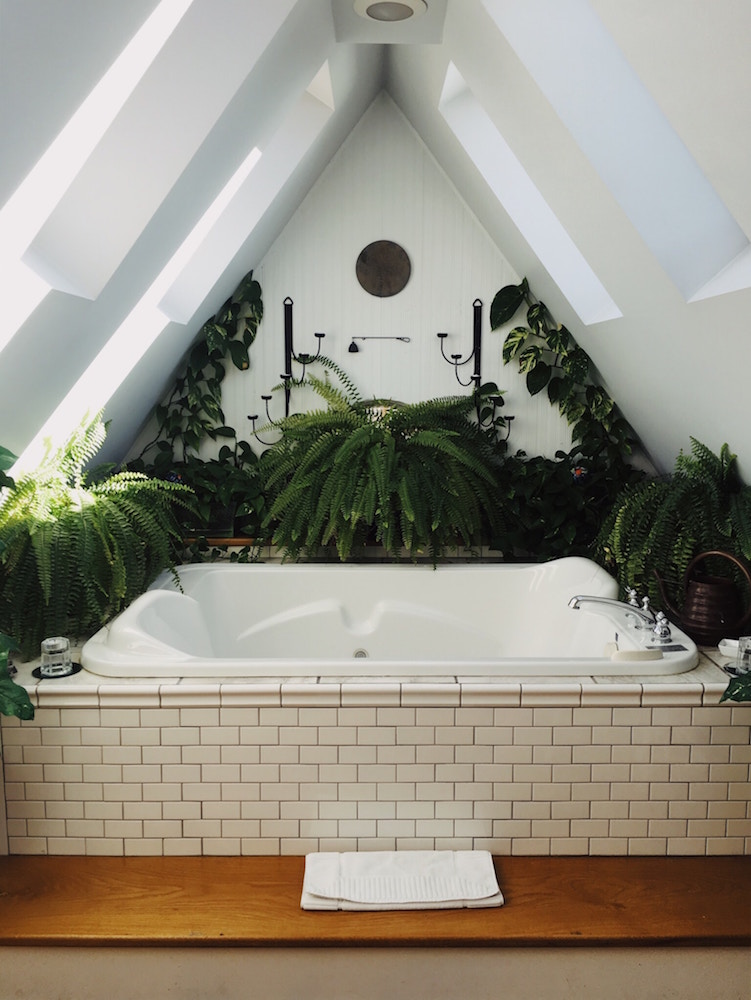 white bathtub with angled ceiling and many green plants