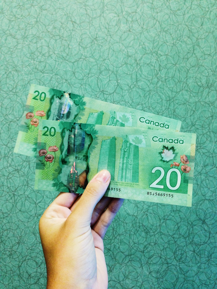 twenty-dollar bills against patterned green background