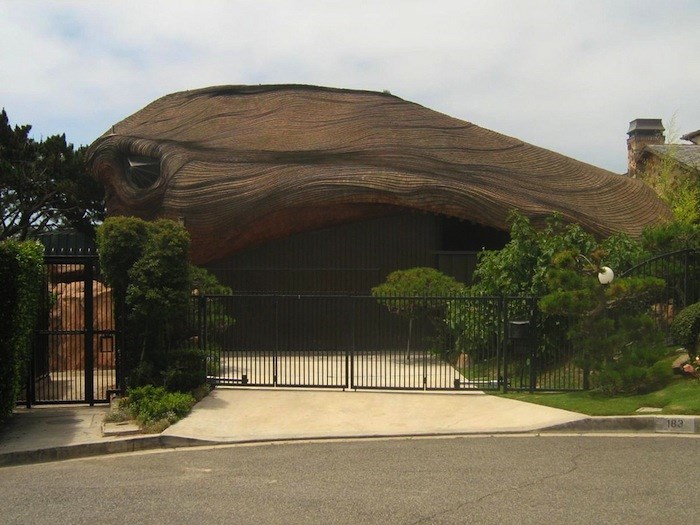Whale of a House
