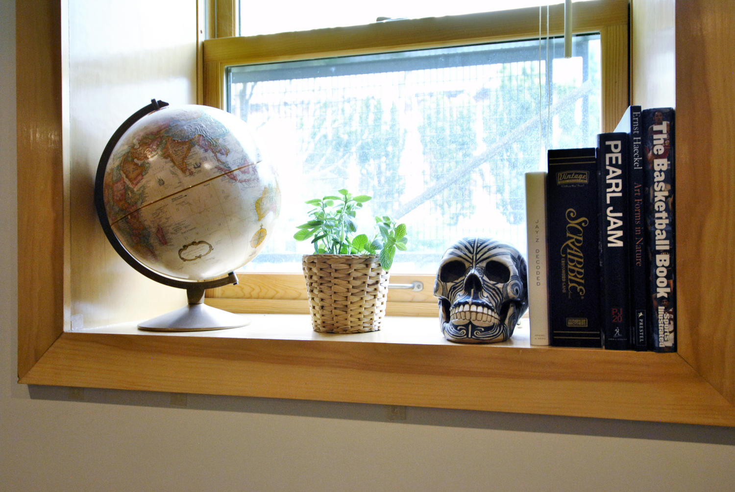 A basement apartment window ledge with potted plant, books and a globe
