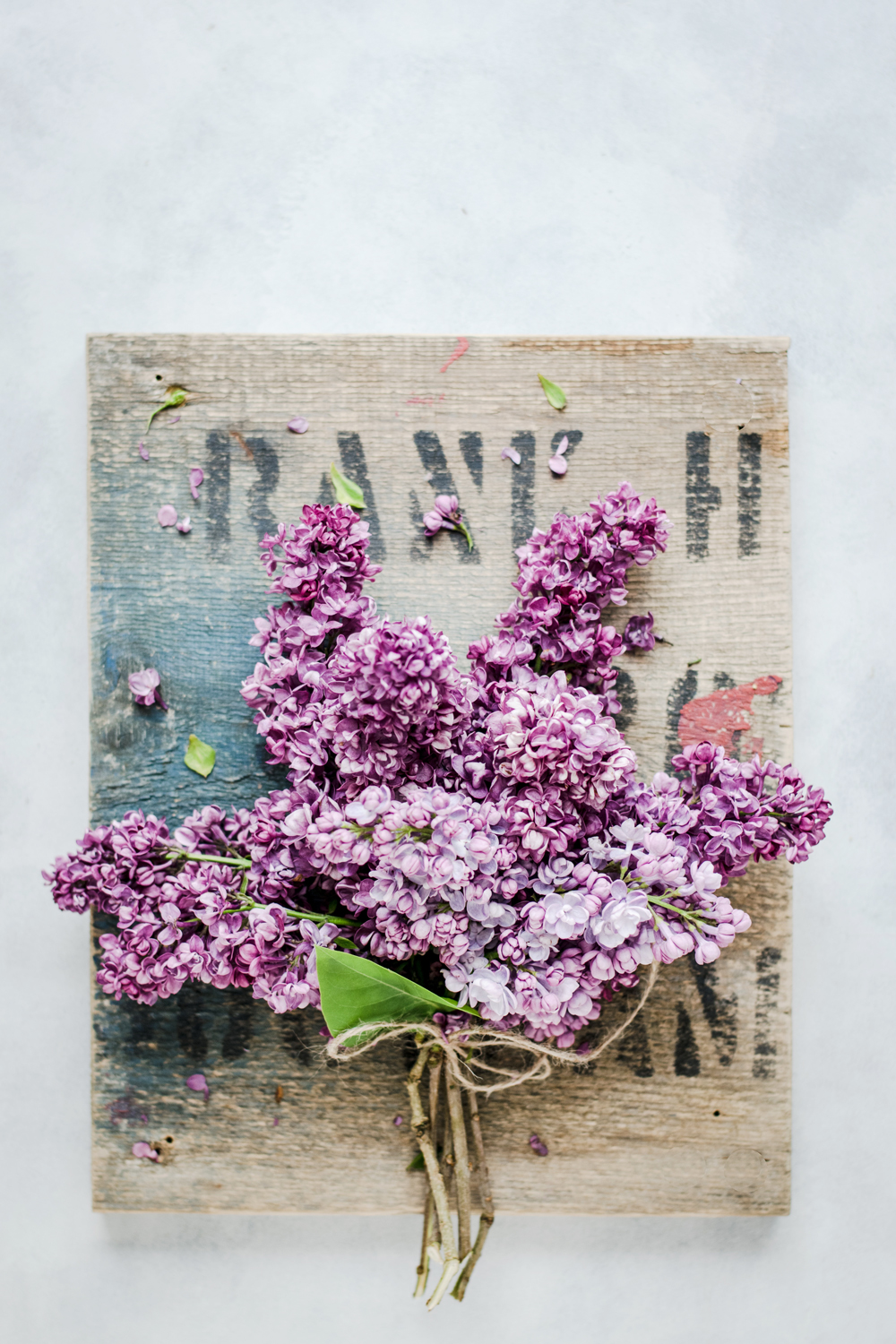 Sprigs of lilac flowers tied together with a string