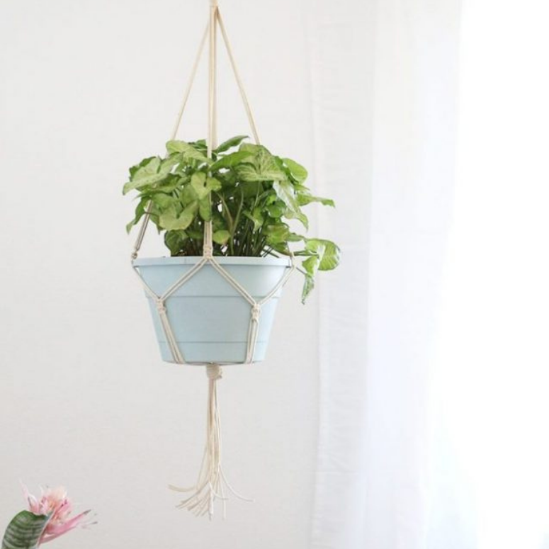 A DIY macrame holder with a metal ring