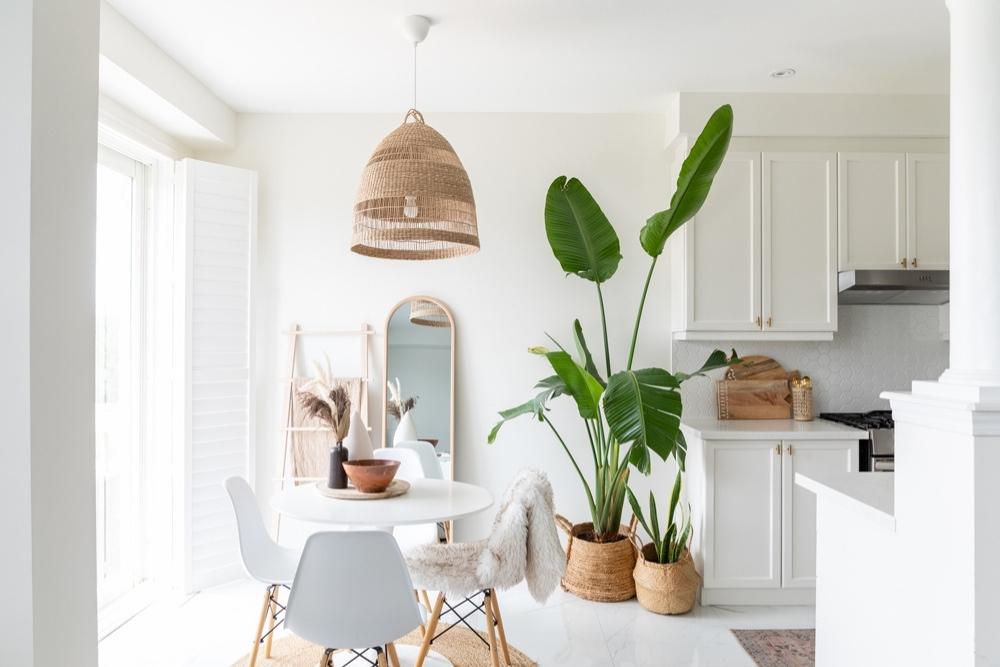 A white kitchen and dining room with a round white table, three seats and two plants.