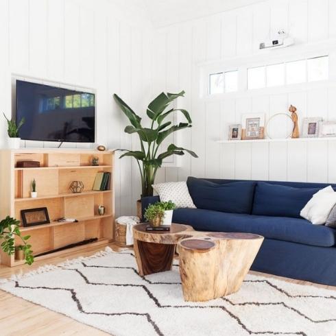 A bright white living room with a plant in the corner and a blue sofa