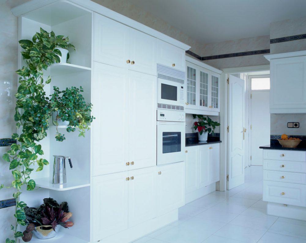 View of cascading ivy in an elegant kitchen