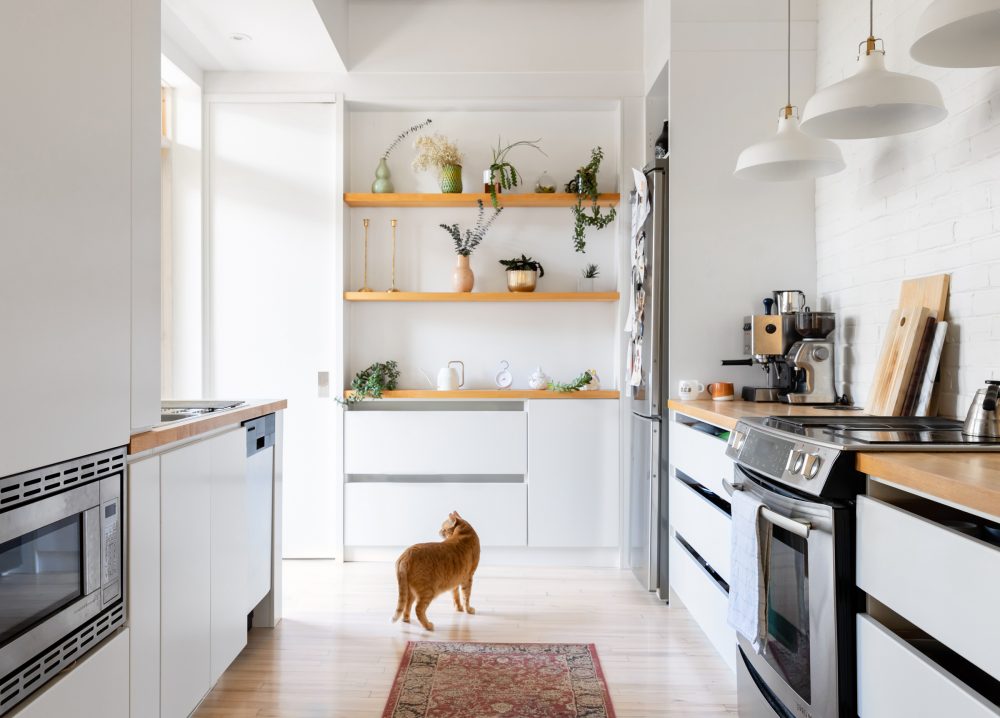 White kitchen with wall of wooden open shelves and orange cat standing on ground