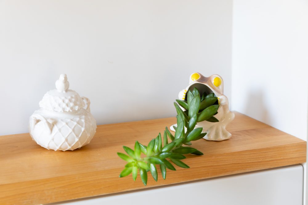 Ceramic frog planter on a wooden shelf, with a green succulent plant in it