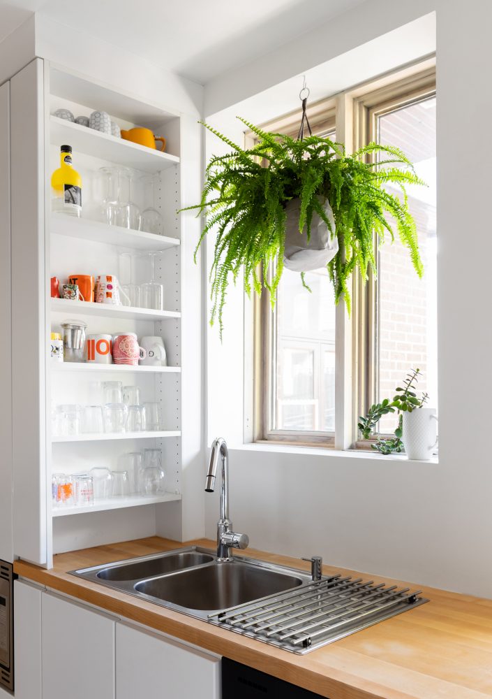 Sink area in white kitchen with a silver-tone sink, window and hanging green plant