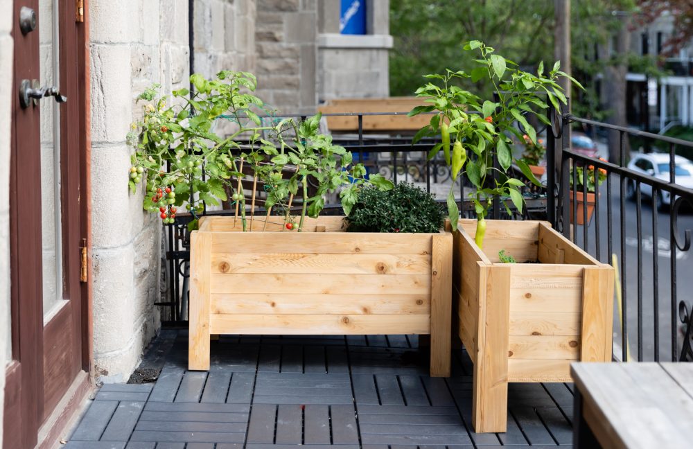 Corner of patio with two wooden planters, overlooking street