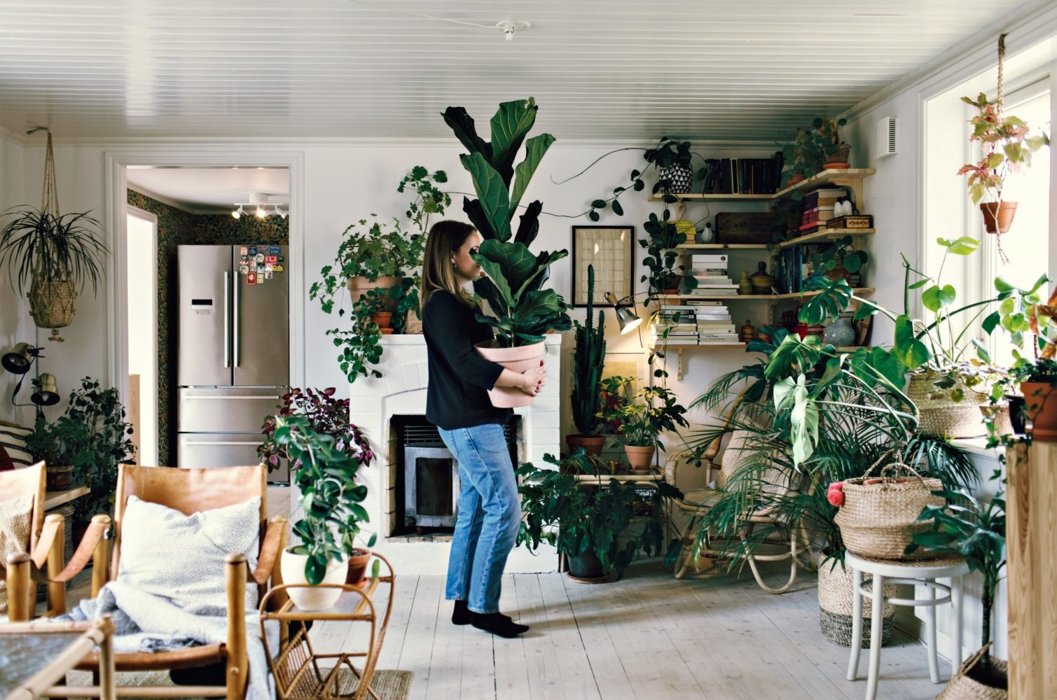 An apartment filled with green life in every corner, with a woman carrying her tall fiddle leaf fig walking across the room.