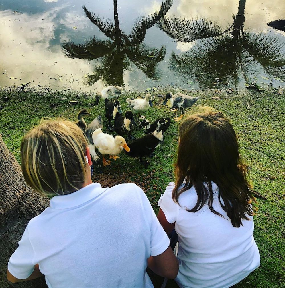 Baeumler kids looking at ducklings on Island of Bryan