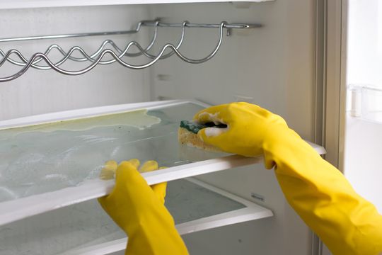 keep-your-fridge-clean-101-10-easy-tips-hgtv-canada