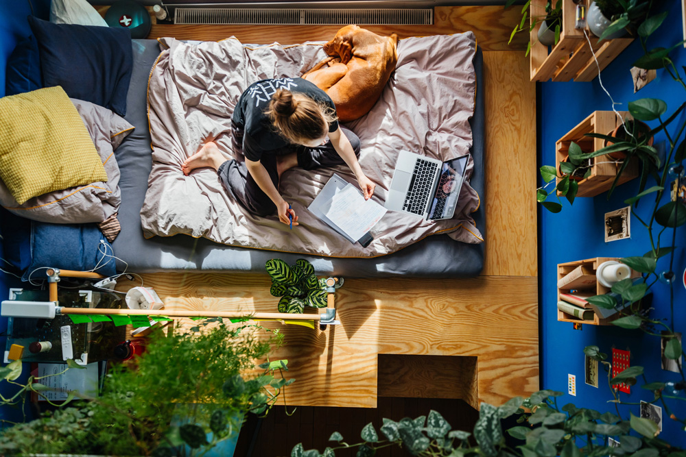 A teenager's bedroom with royal blue walls, an elevated platform bed and plenty of greenery.