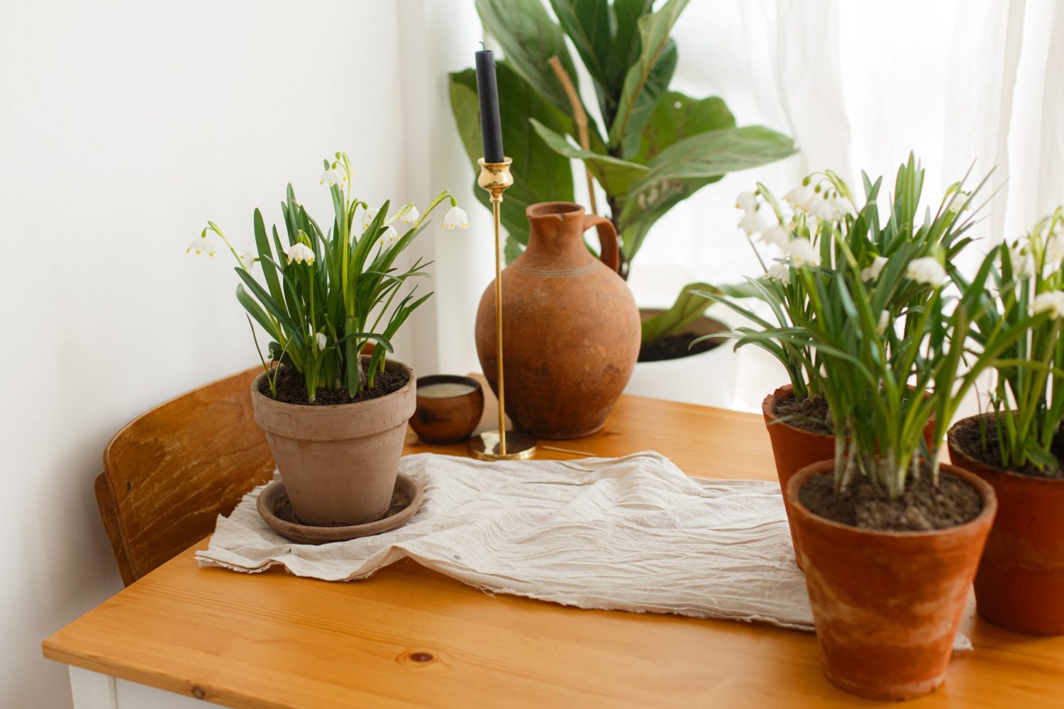 Several terracotta planters planted with flowers sit atop a wooden table, alongside a large terracotta water jug, a brass candlestick, a small terracotta bowl, and a cream linen cloth strip. In the background is a tall fiddle leaf fig in a wide, white planter.
