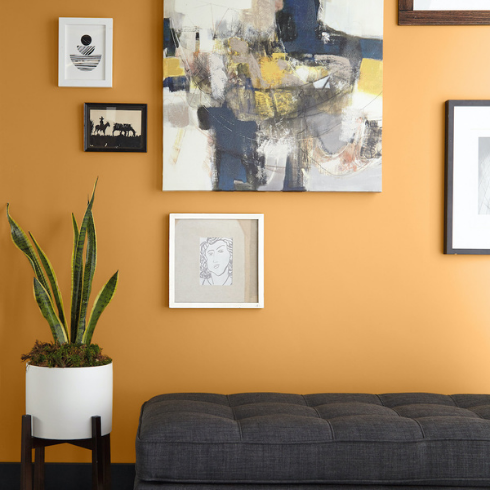 A low grey bench seat and a white potted plant sit in front of a yellow wall painted in BEHR Saffron Strands PPU6-02 and covered in framed and unframed artwork