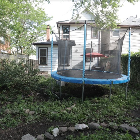 An overgrown backyard with a trampoline