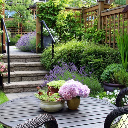 Beautiful backyard garden with lots of colourful flowers