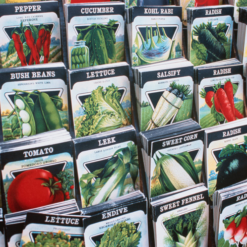 seed packets on display