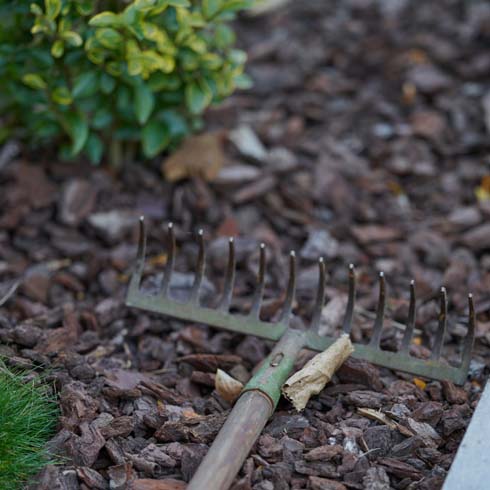 Closeup of rake lying in mulched garden