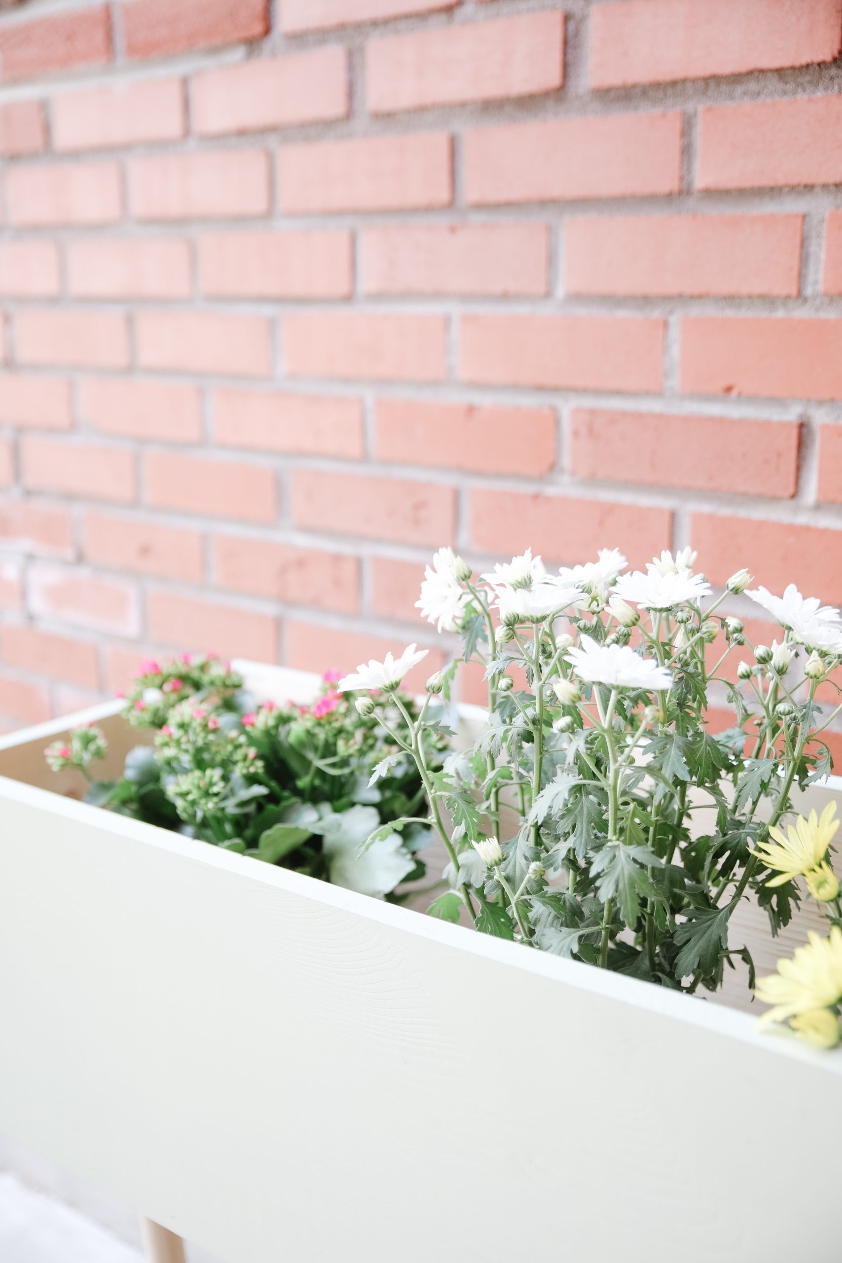 DIY planter box full of flowers, standing against a brick wall backdrop.