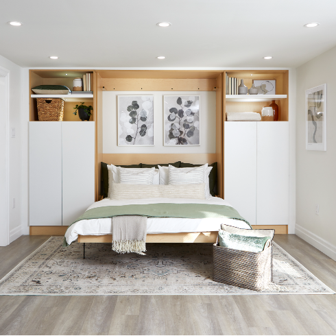 Basement bedroom with a Murphy bed