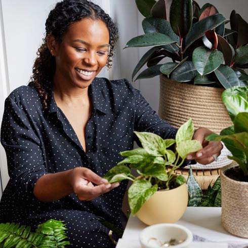 person caring for marble queen pothos