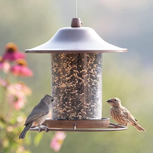 Two birds with bird feeder.