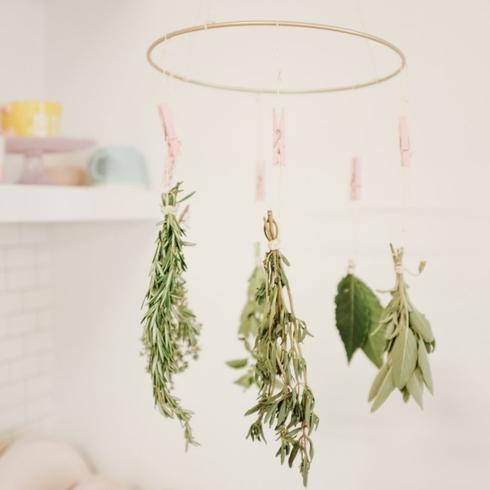 Hanging herb drying rack