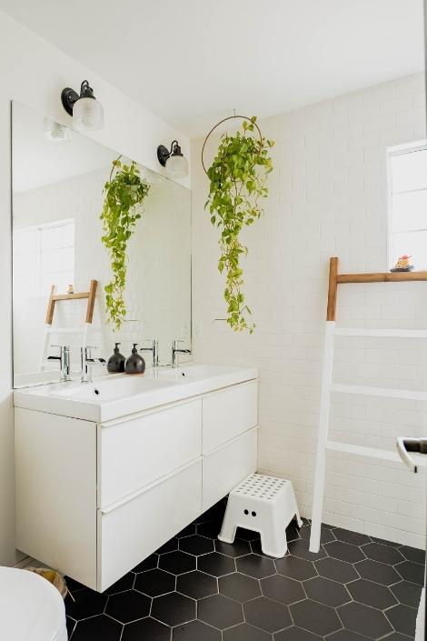 white bathroom, dark floor, green hanging plant