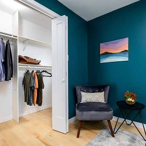 stylish room with open closet