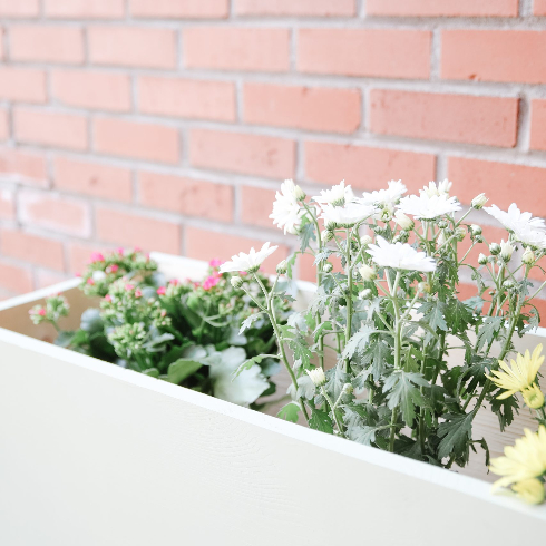 White wooden planter box for a front garden