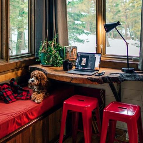 A furry brown dog rests on a red window-seat beside a home-office area in a wood-detail room