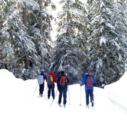 Cross country skiers in Whistler