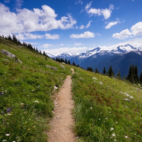 Hiking trail in Whistler BC