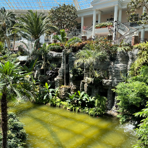 The lush botanical gardens inside an atrium at Gaylord Opryland