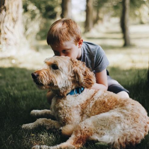 Young boy hugging dog under shade