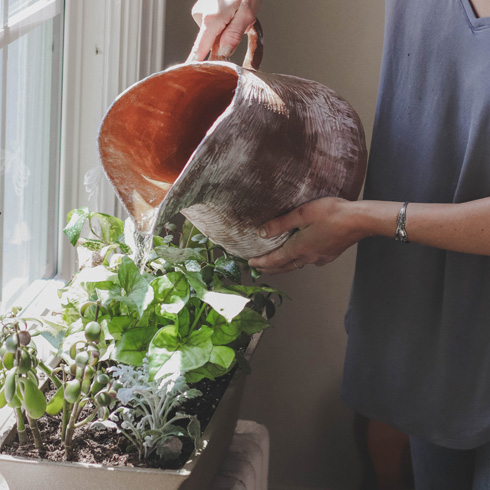A person watering a window box full of plants with a terracotta jug.