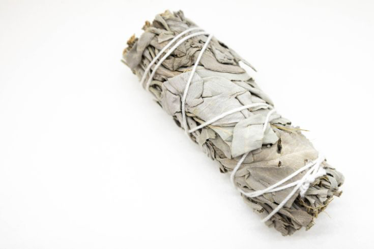 A bundle of sage in a white background