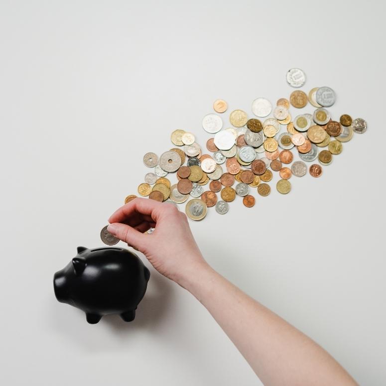 Person with black piggy bank and coins