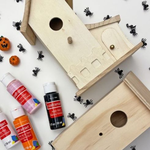 bird house with paint supplies