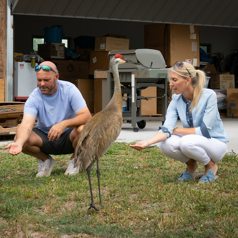 Bryan and Sarah Baeumler meeting birds