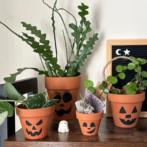 plant pots with jack-o'-lantern faces