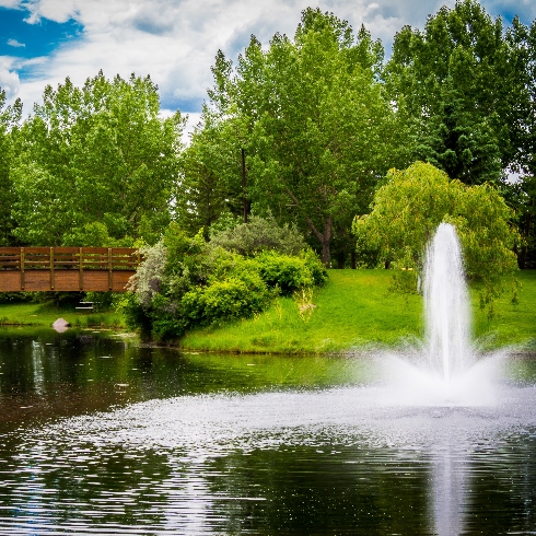 A pond and fountain with a bridge in Red Deer, Alberta's Bower Ponds park