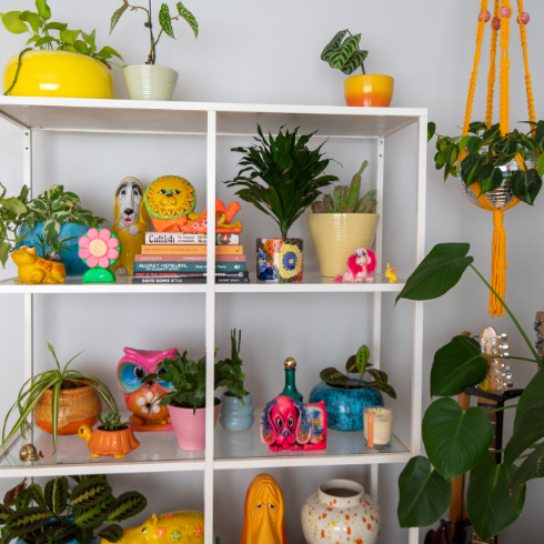 Close-up shot of a living room shelf filled with plants and vintage decor