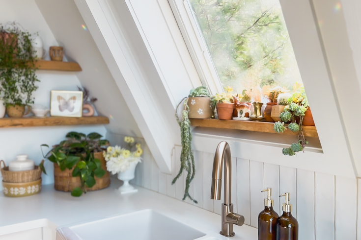 The kitchen window in the A-Frame on Fletcher with wooden shelves filled with succulents