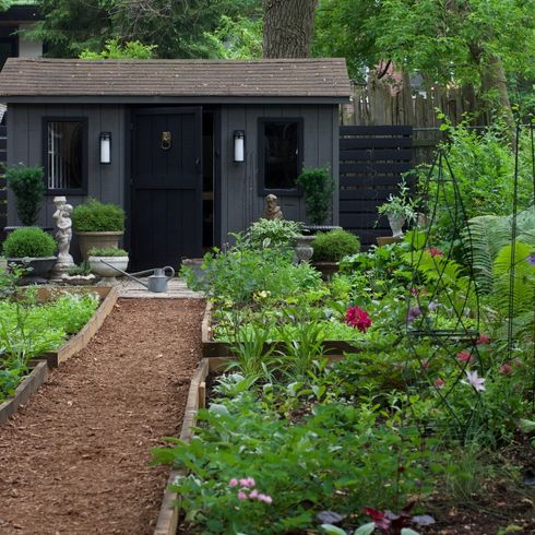 Black garden shed in leafy backyard