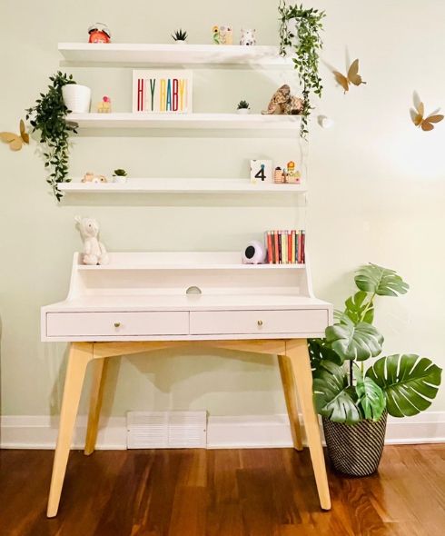 White shelves and desk with plants